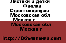 Листики и детки - Фиалки,Стрептокарпусы  - Московская обл., Москва г.  »    . Московская обл.,Москва г.
